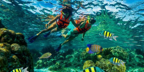 --- SNORKELING