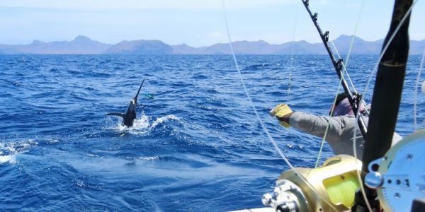 --- SPORTFISHING