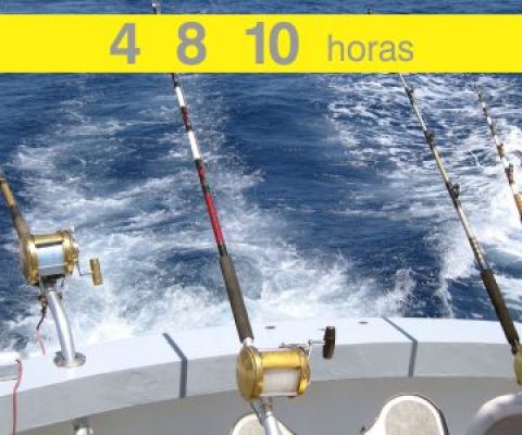 sportfishing-600x300esp