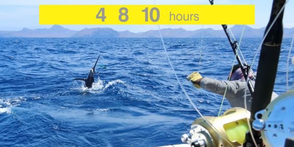 sportfishing-eng